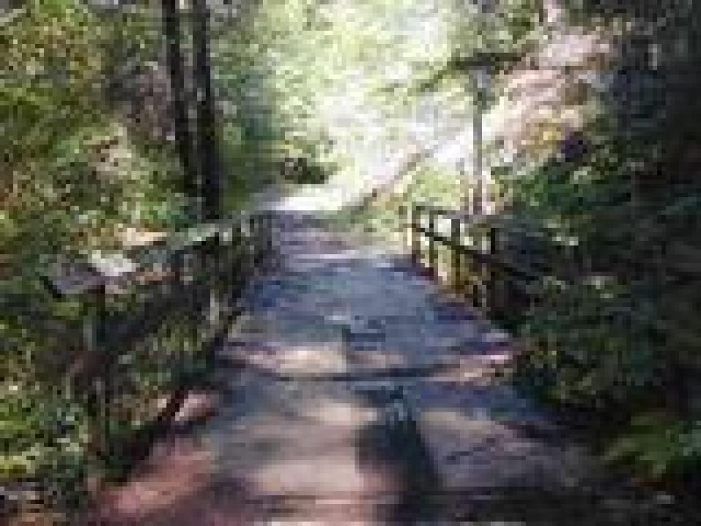 Bridge