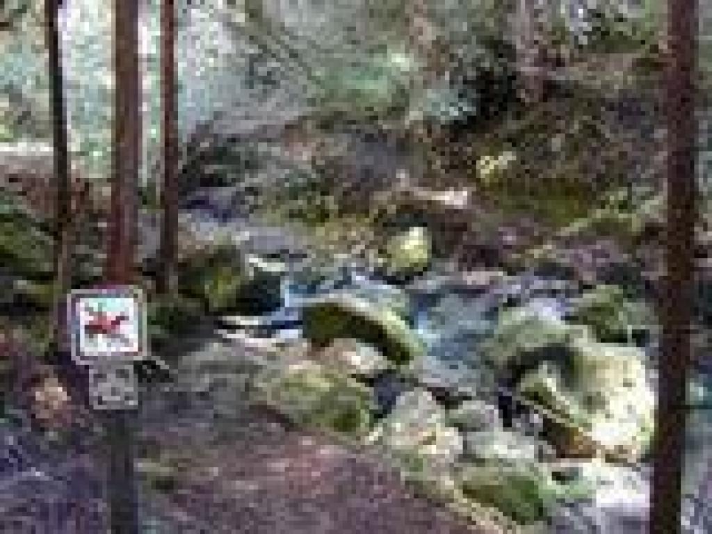 Creek crossing