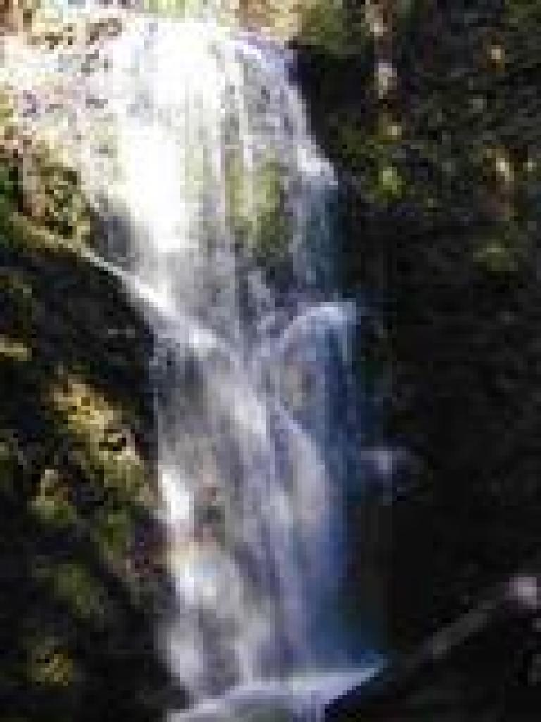 Berry Creek Falls