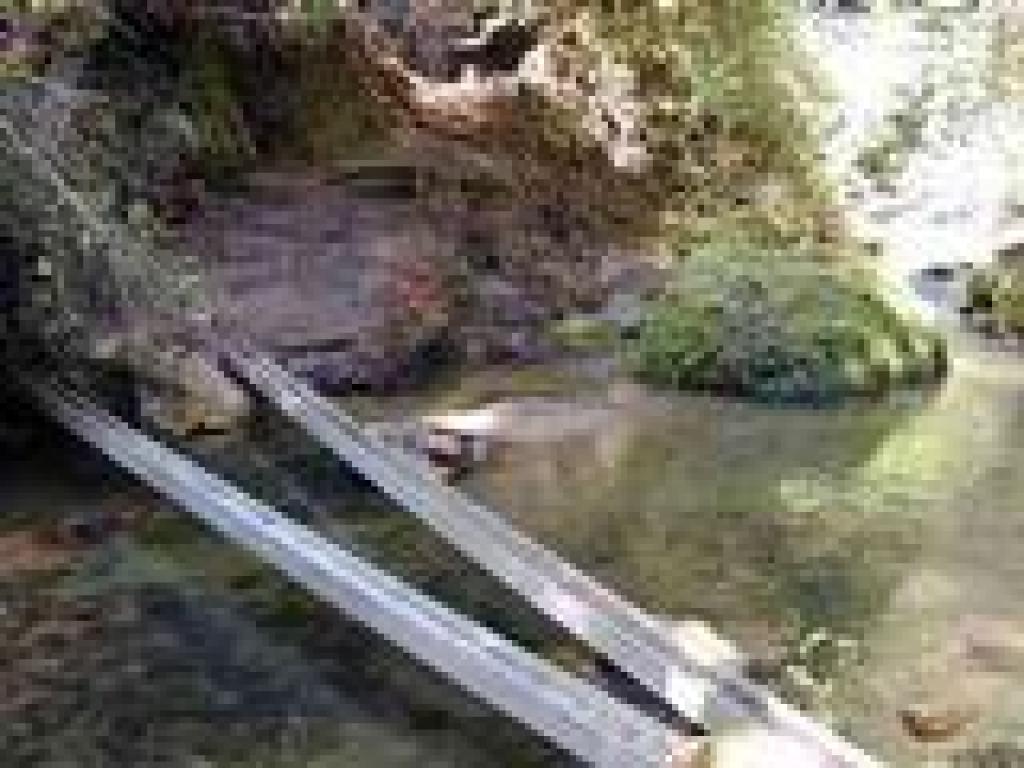 Creek crossing
