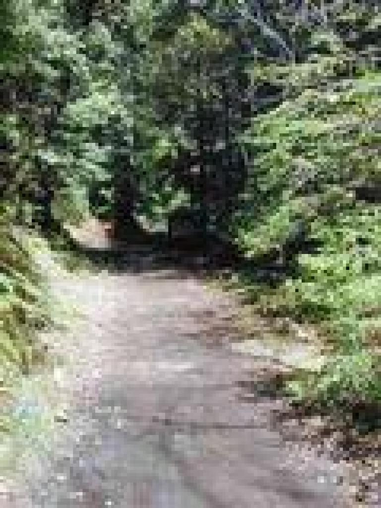 End of bike-permitted trail