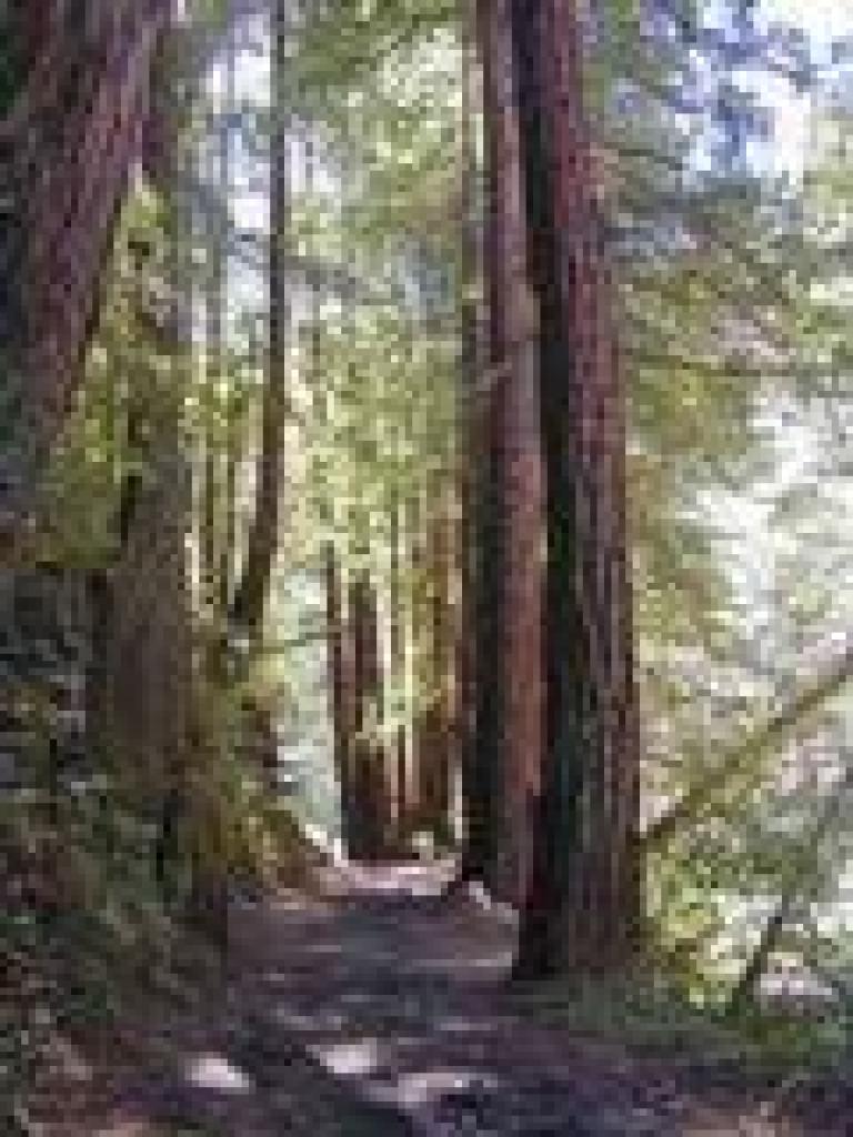 Returning on Skyline to the Sea Trail