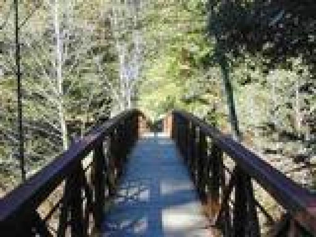 Bridge