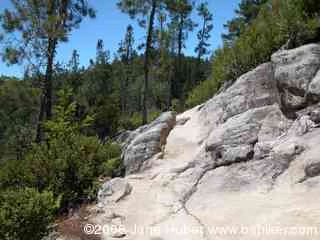 Rare sunny stretch on Sunset Trail