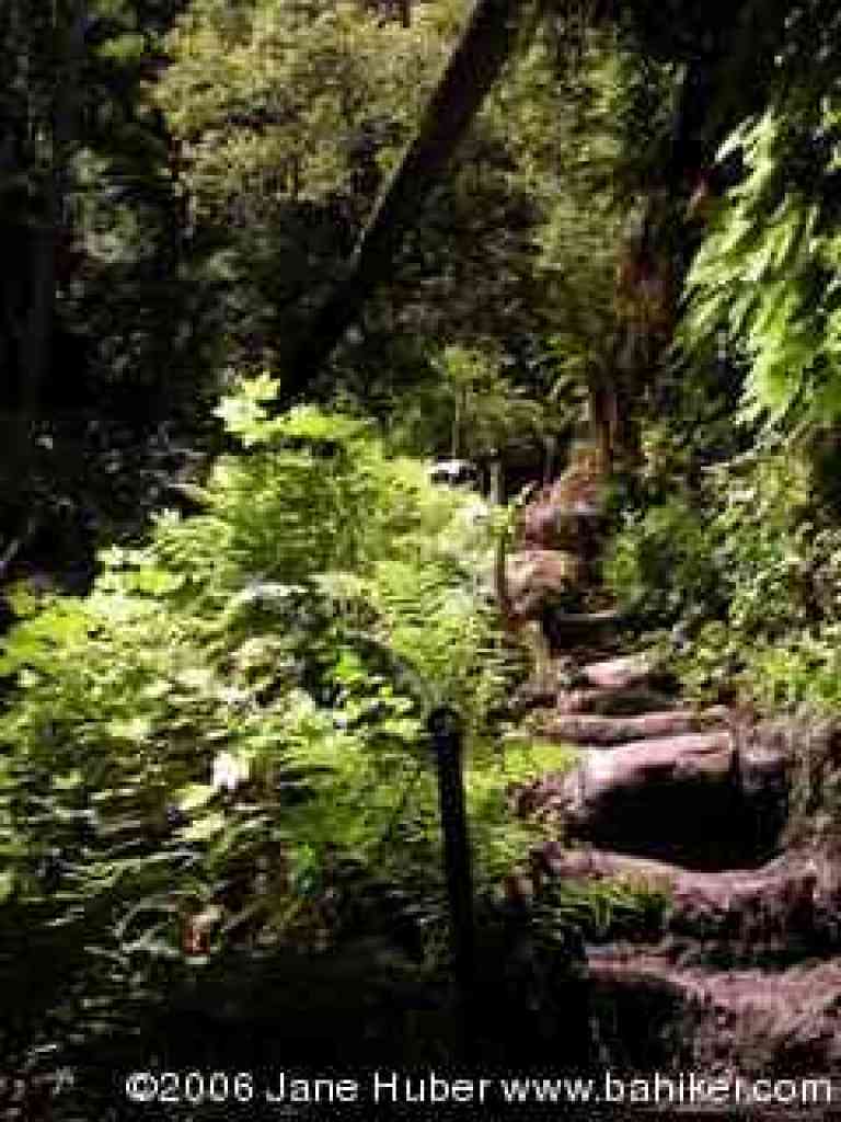 Looking back up the steps near Silver Falls
