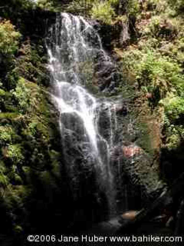 Berry Creek Falls in summer