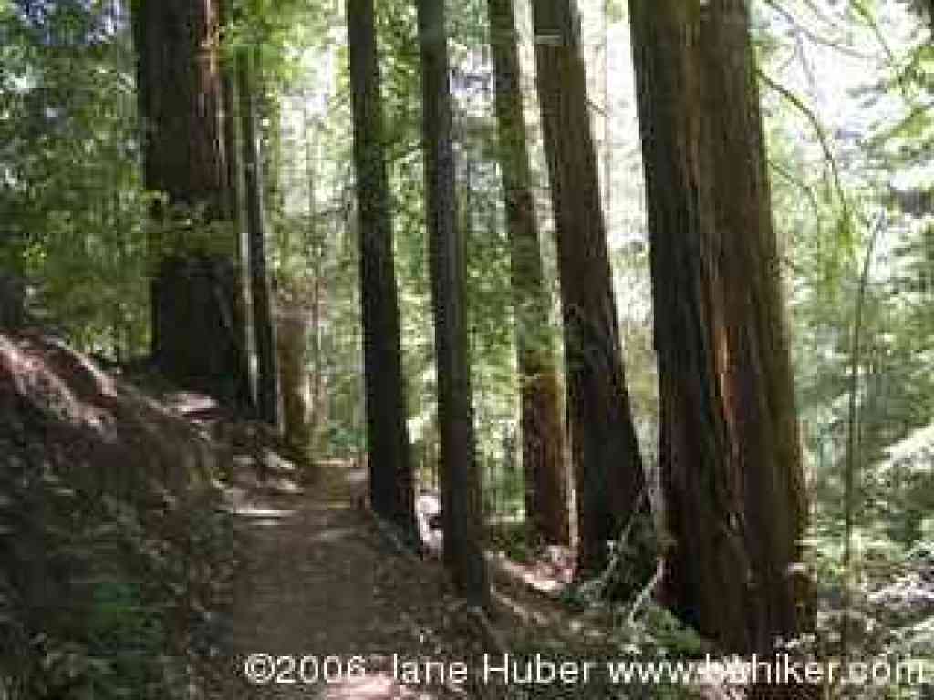 Skyline to the Sea Trail