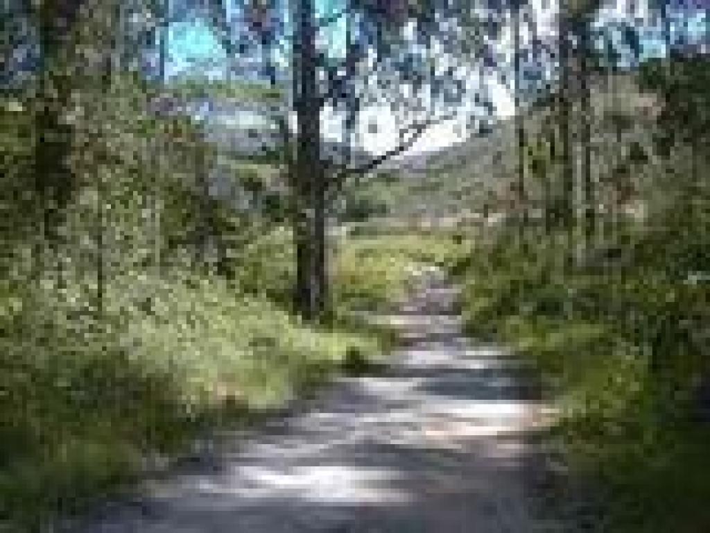Junction with firing range road