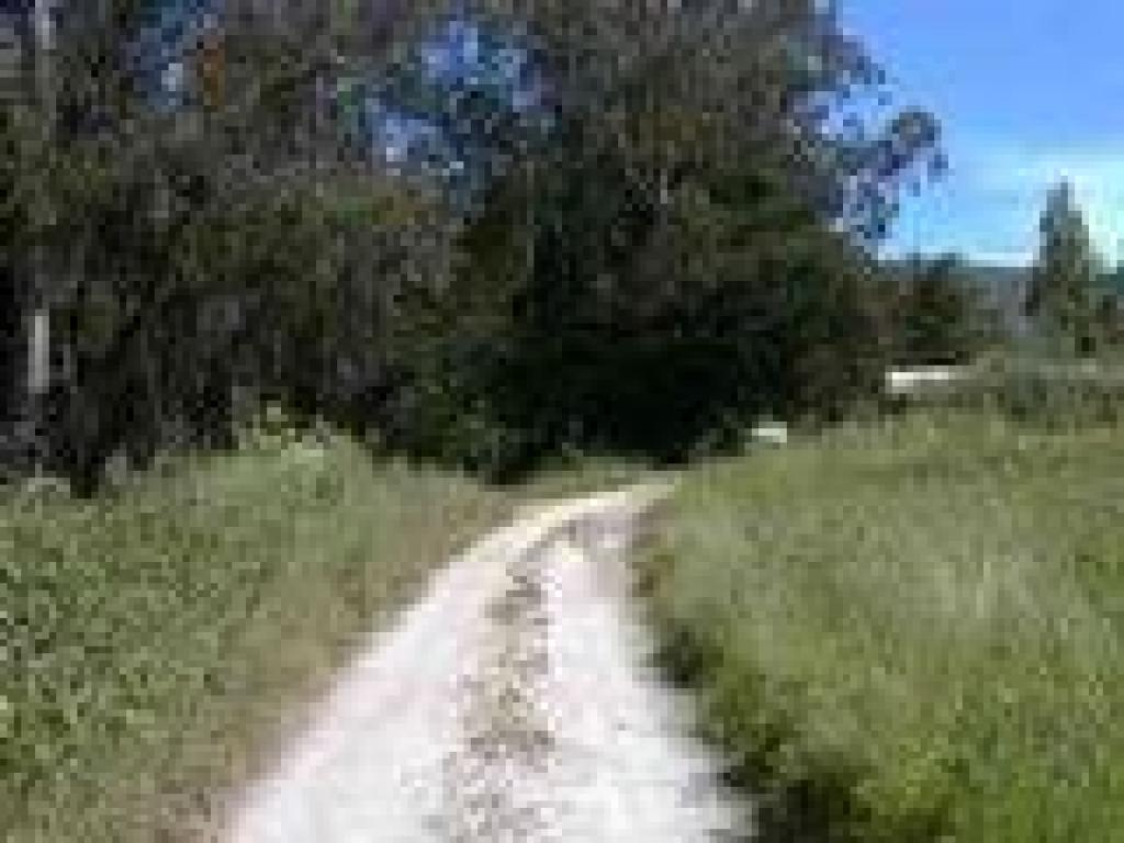 Trail curves left here