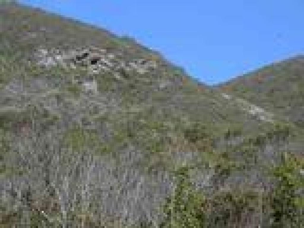 View uphill