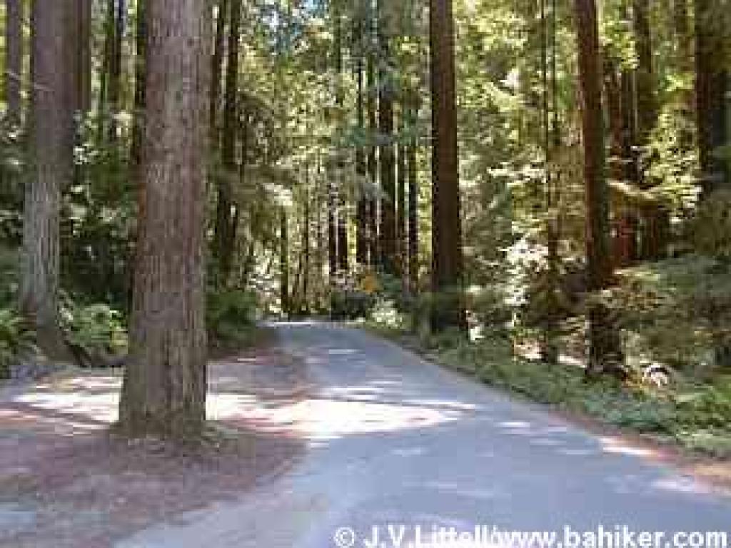 Park road