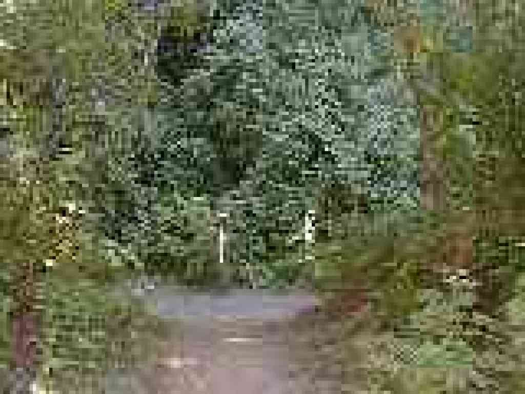 Junction
