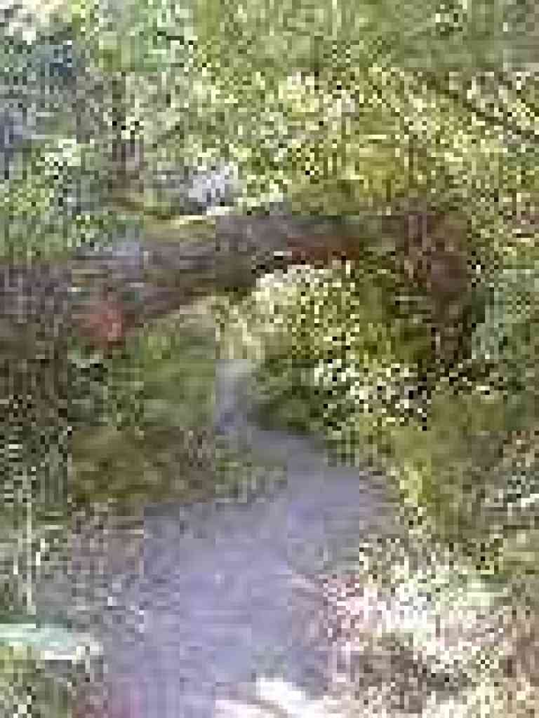 Under a tree