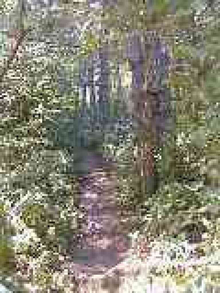Start of the ascent