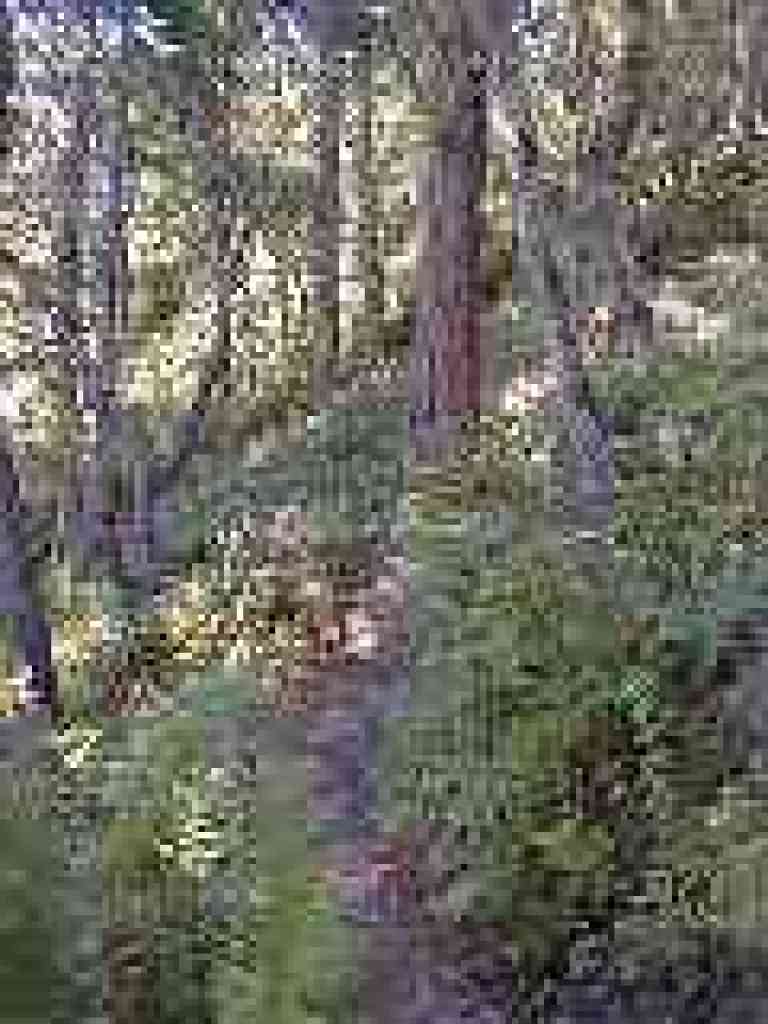 Near rest bench