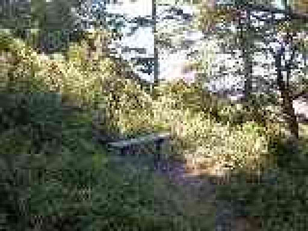 Bench