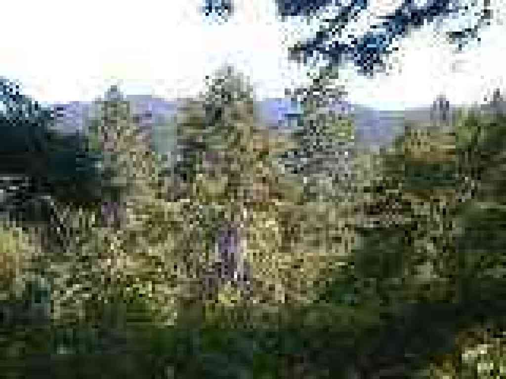 Another rare view