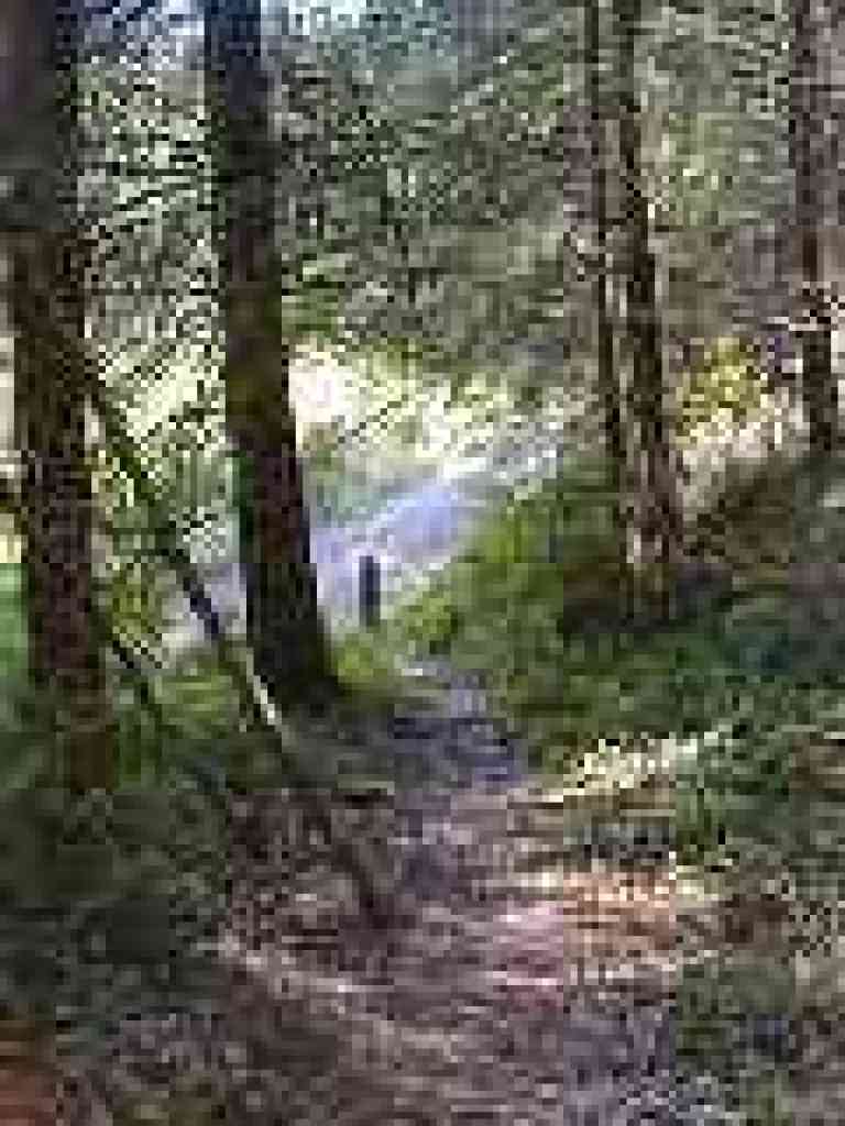 Junction