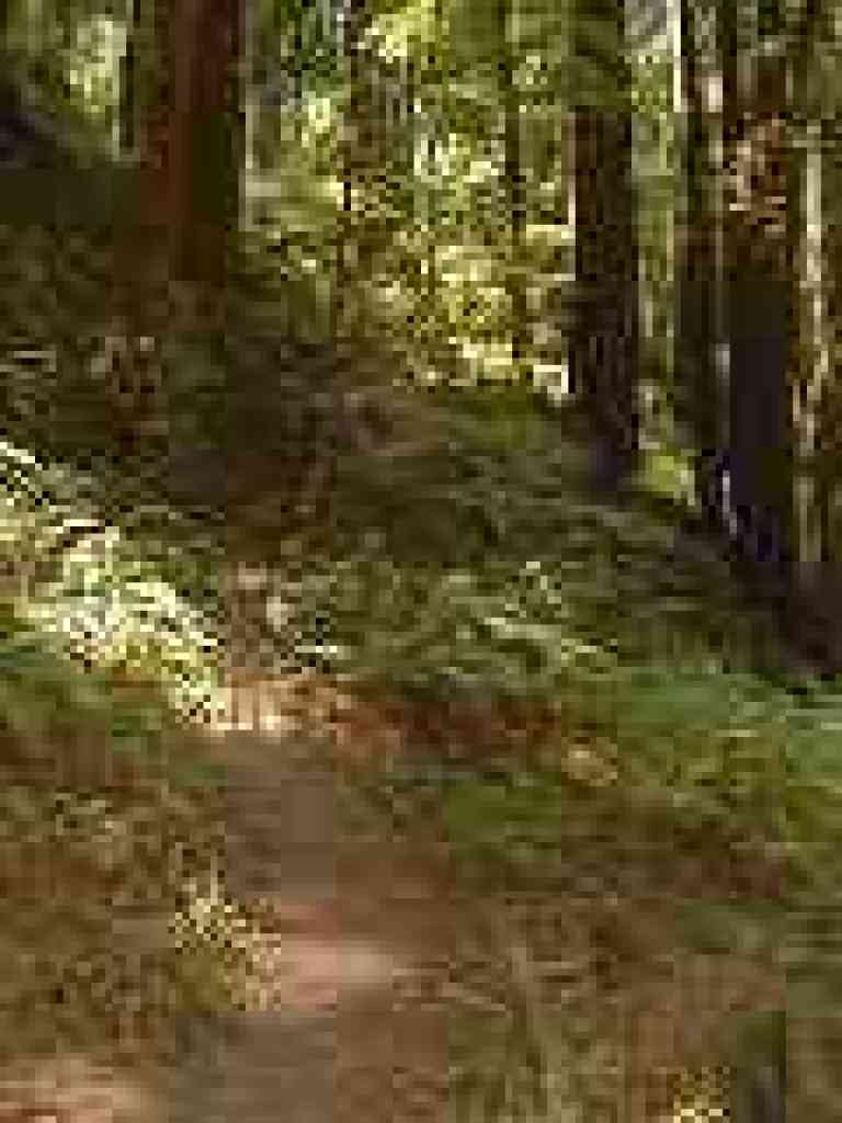 Six Bridges Trail