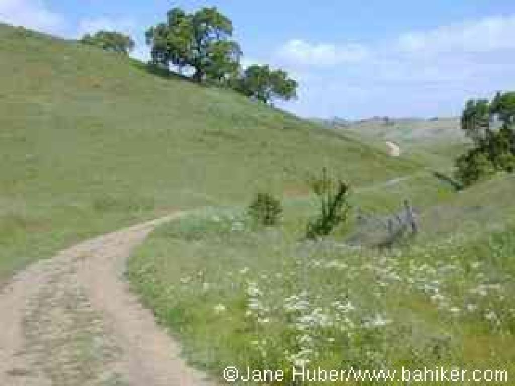 Los Cerritos Trail