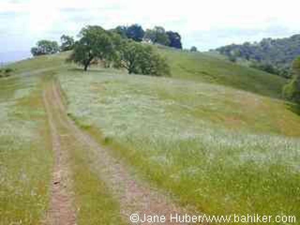 Los Cerritos Trail