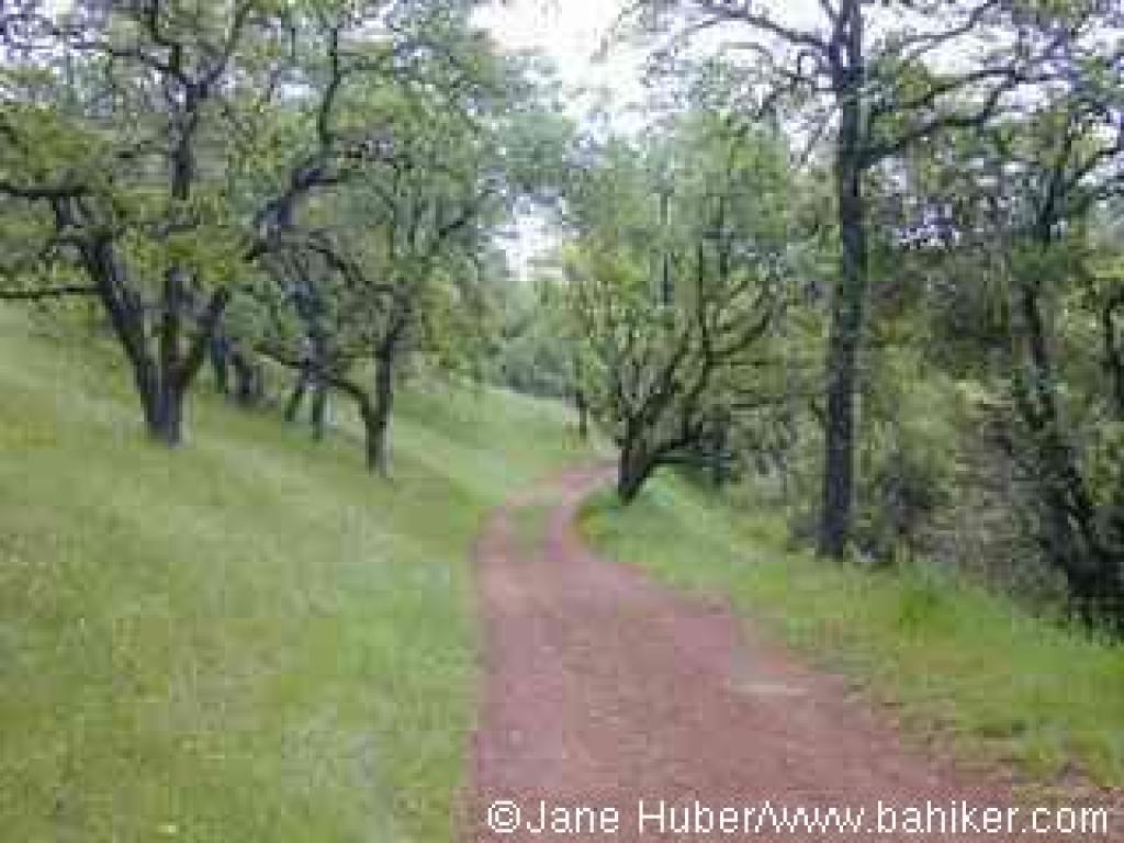 Figueroa Trail