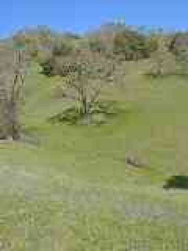Valley floor