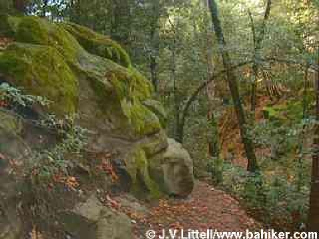 Rock formation crowds the trail
