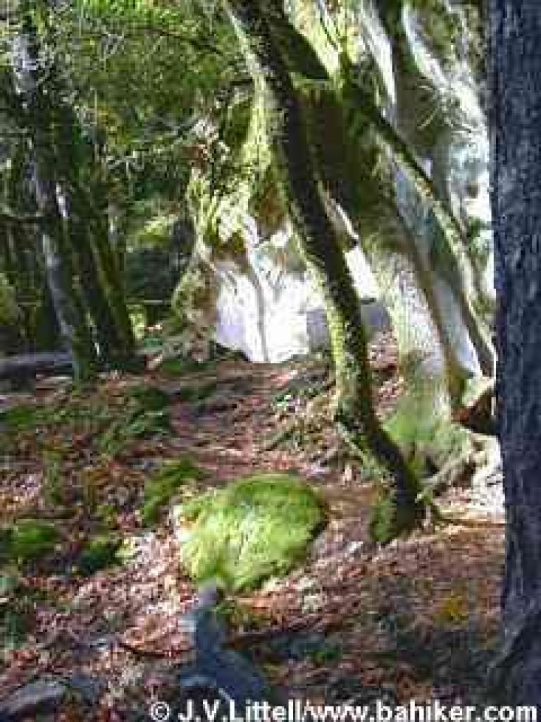Ridge Trail passes a white boulder