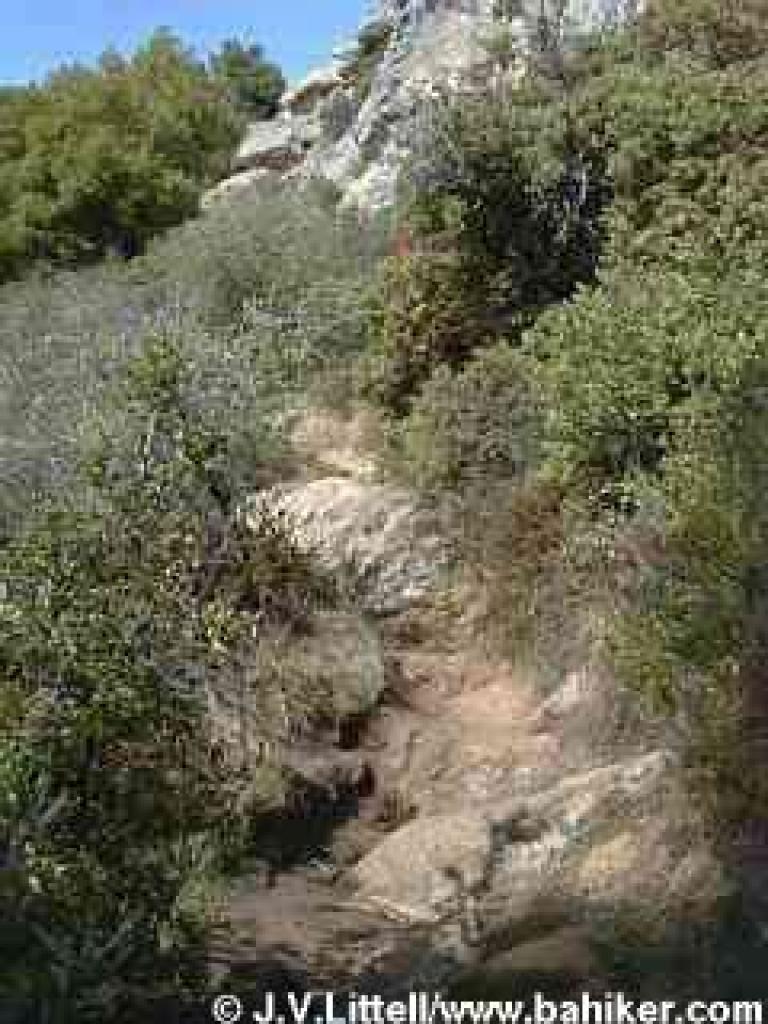 Near the base of Goat Rock