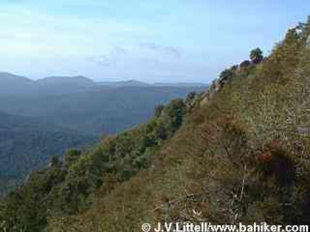 View from Ridge Trail