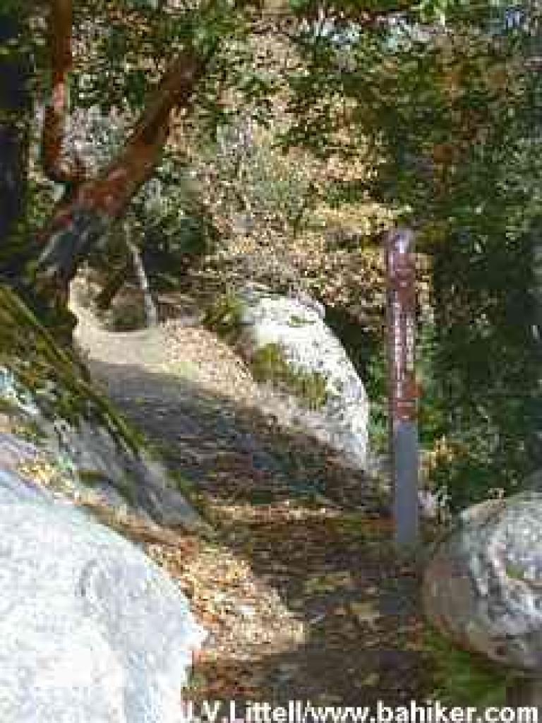 Trail to Interpretive Center