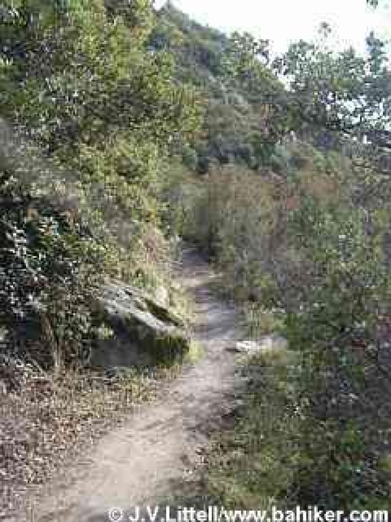 Through chaparral