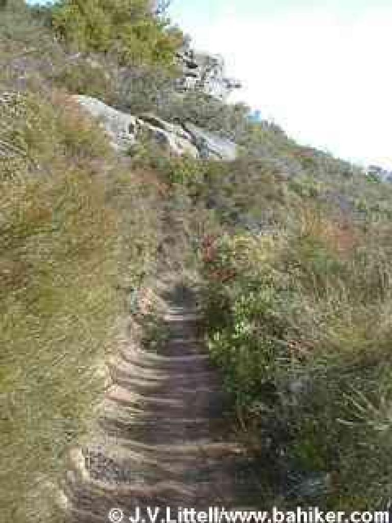 Chaparral and rocks