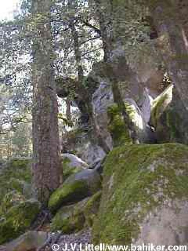 Castle Rock