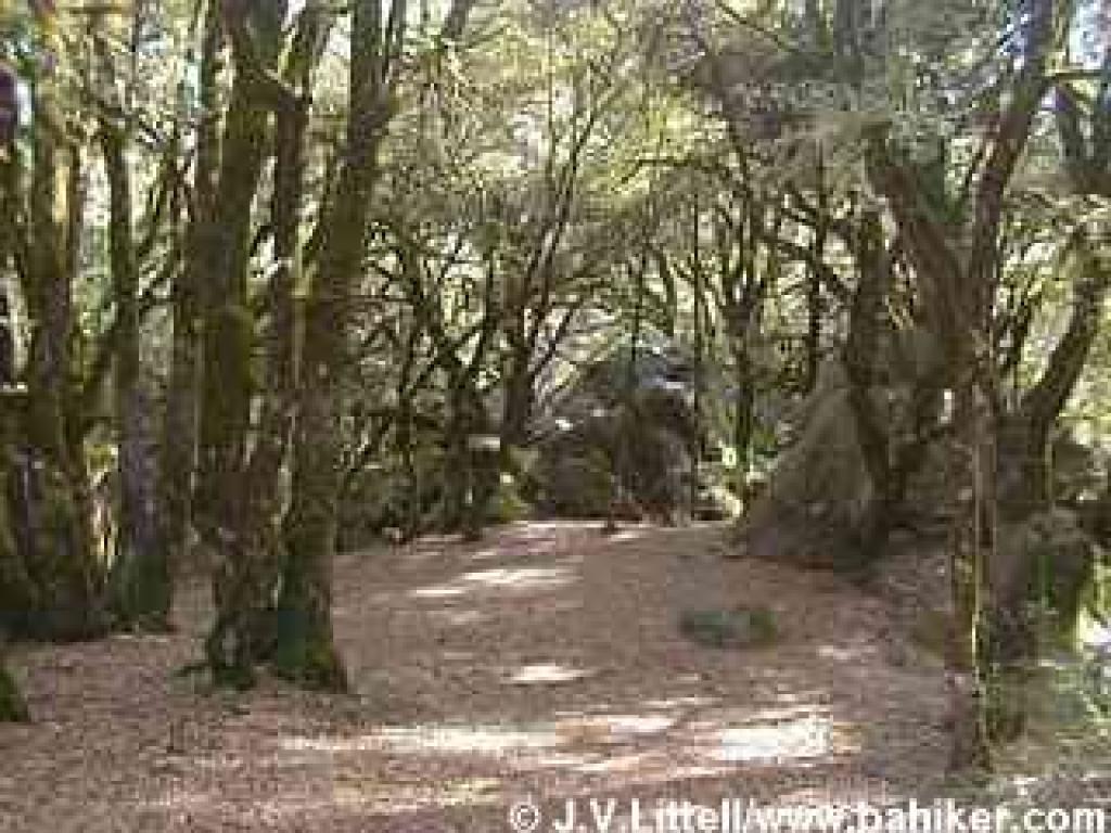 More rocks