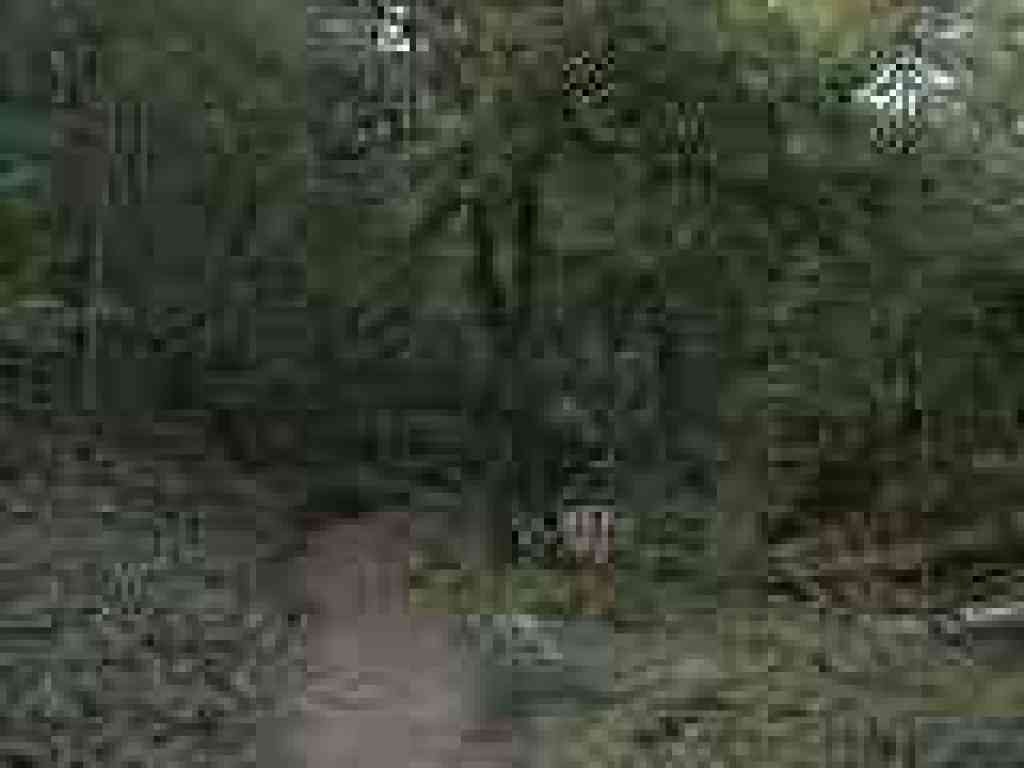 Saratoga Gap Trail