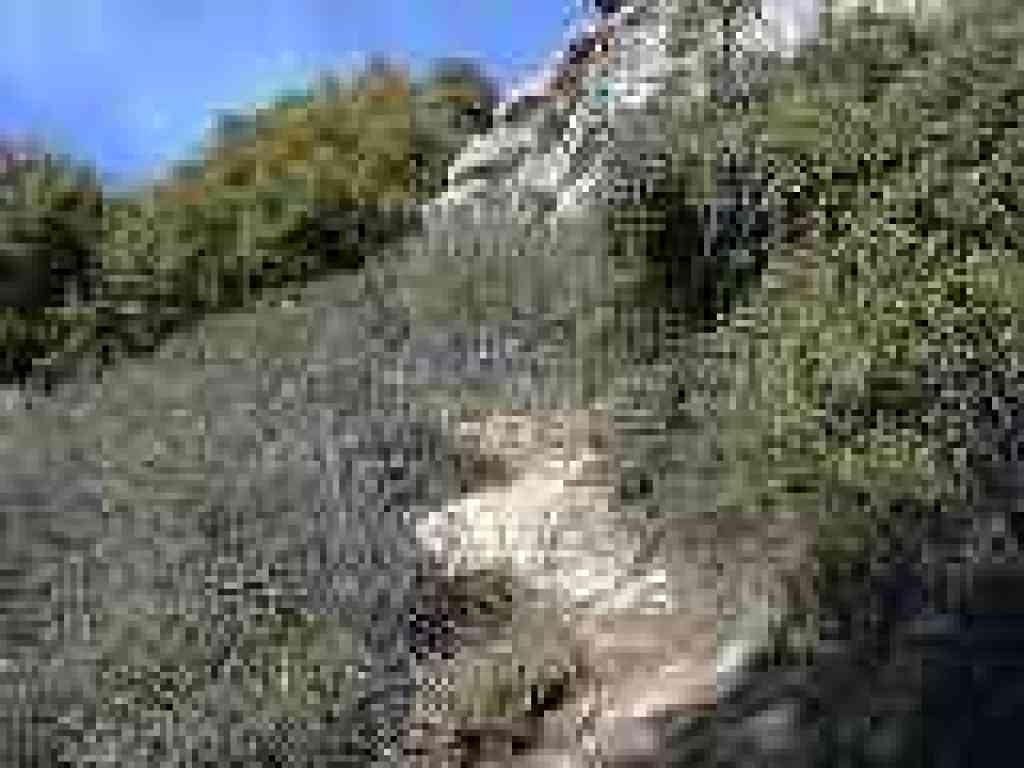 Near the base of Goat Rock