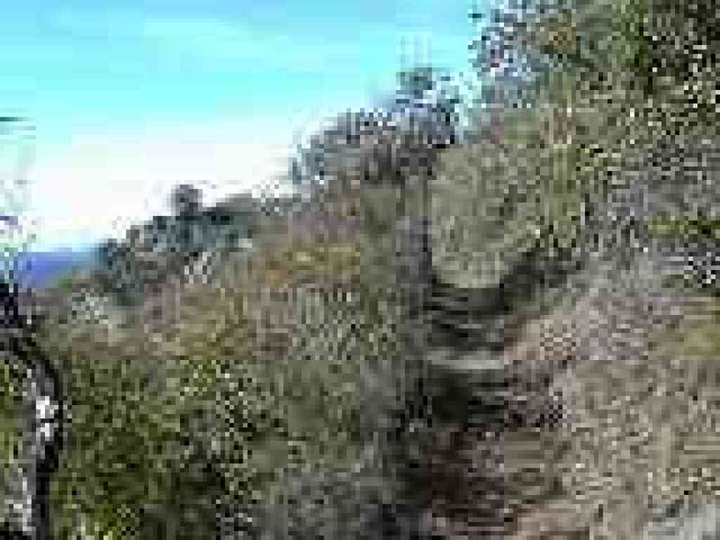 Ridge Trail