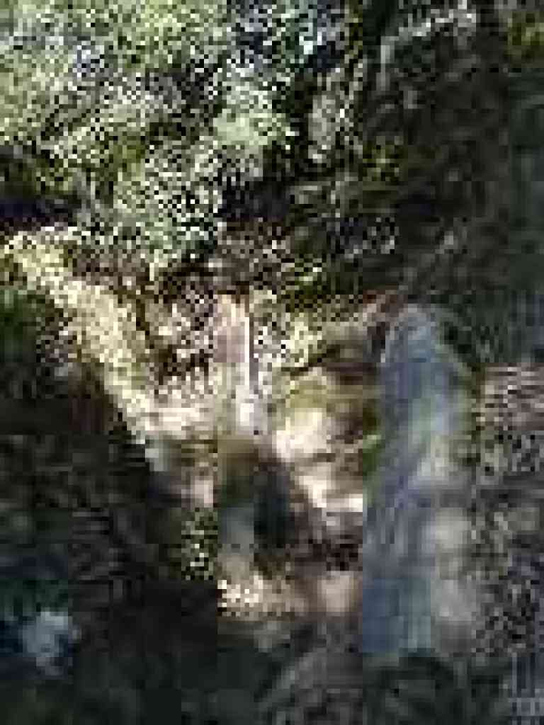 Coast live oak shades a rocky stretch