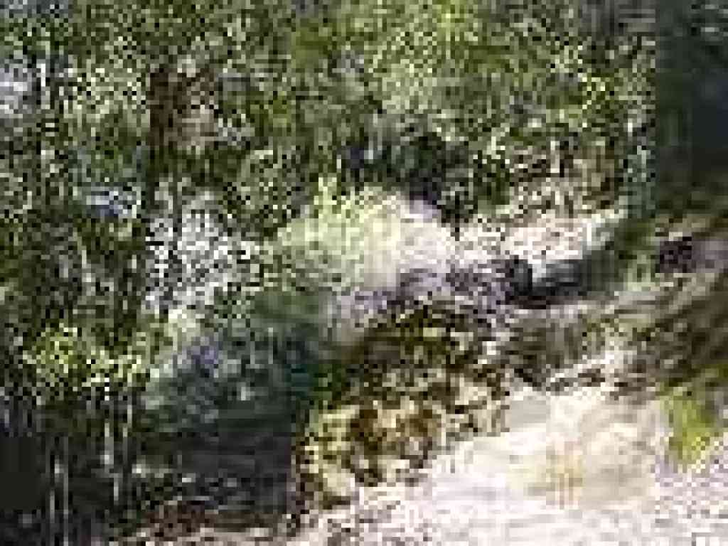 Non junction