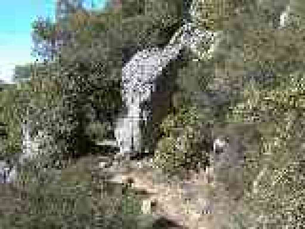 Ridge Trail