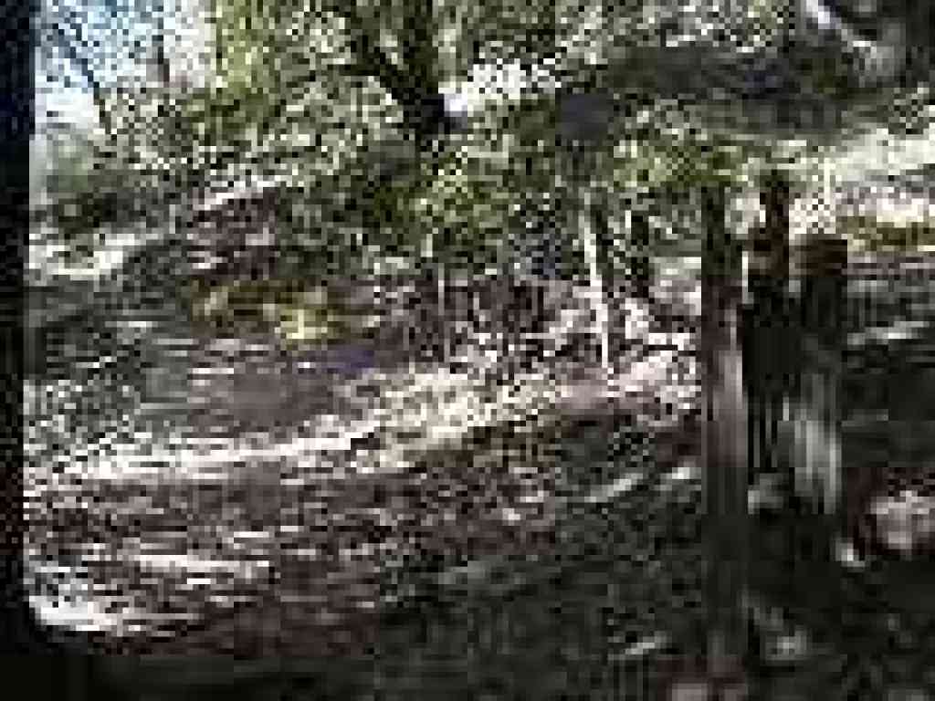 Fences help channel you to the rerouted section