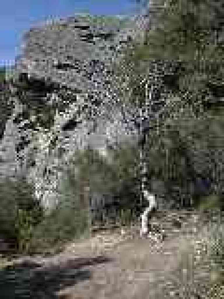 Weathered rock and turn in the trail