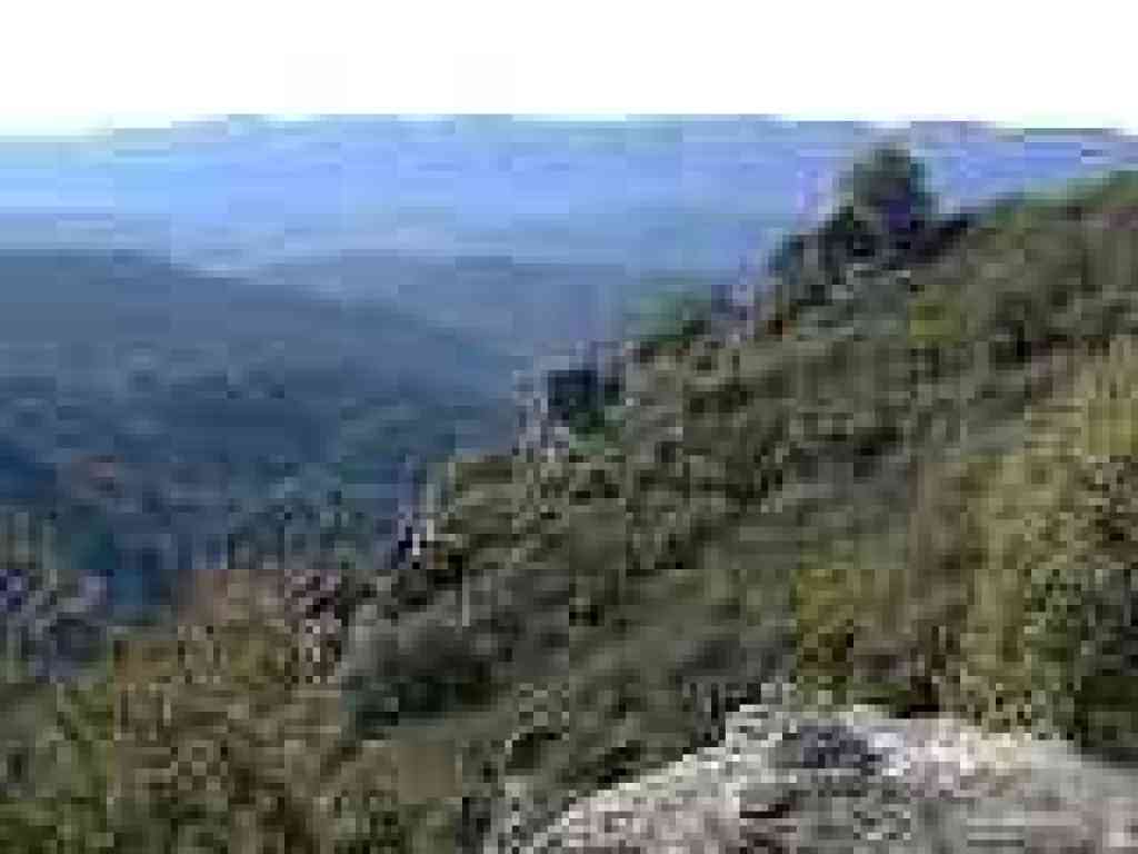View west