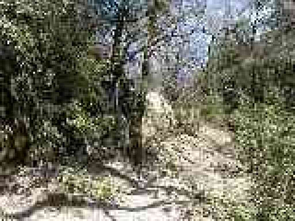 Rerouted segment