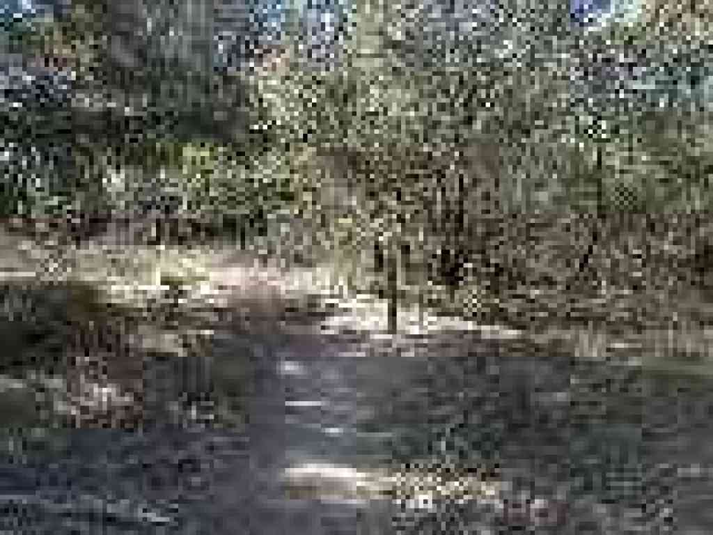 Junction