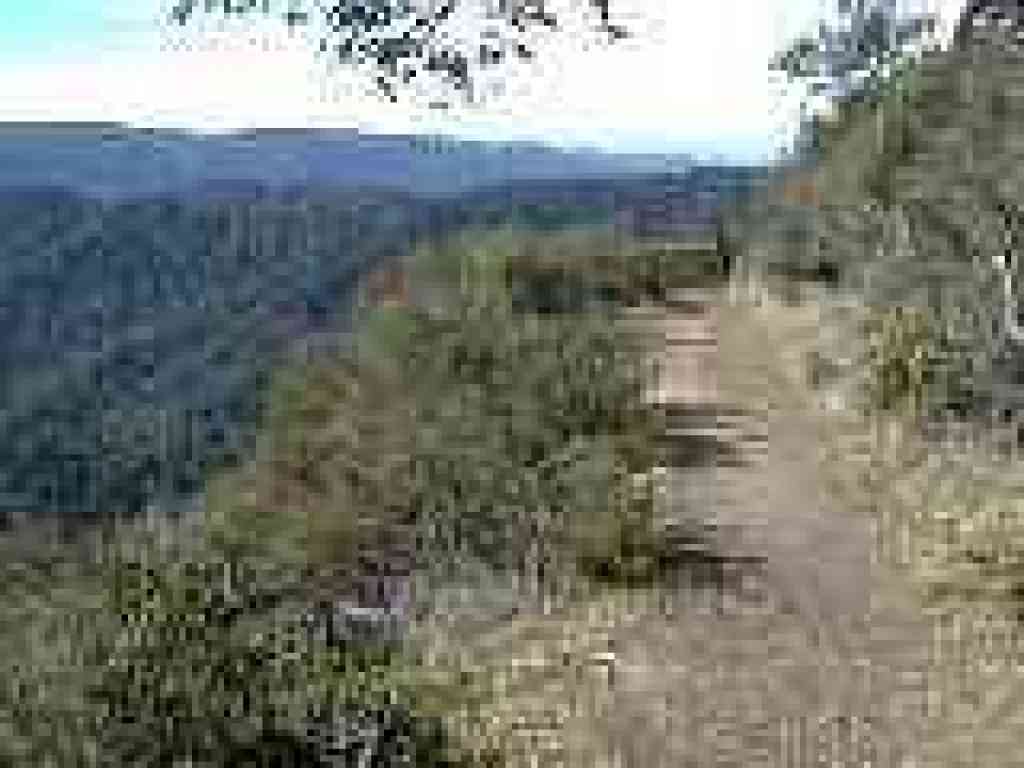 Ridge Trail and view
