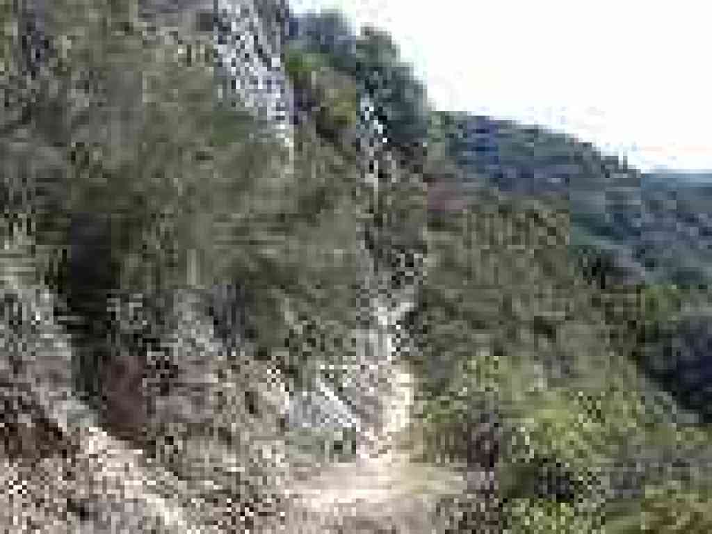 Saratoga Gap Trail