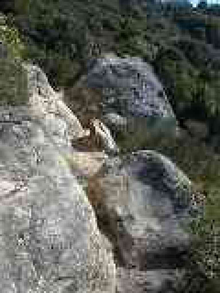 Rocky segment
